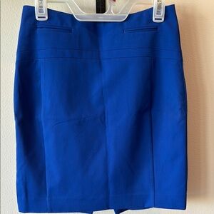Elegant Blue Skirt